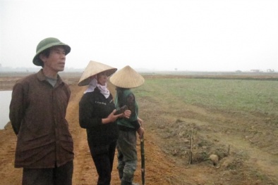 Chuyện làng quê thời nay